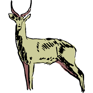 Antelope 10