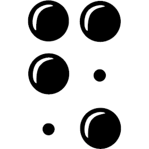 0 Braille    - $