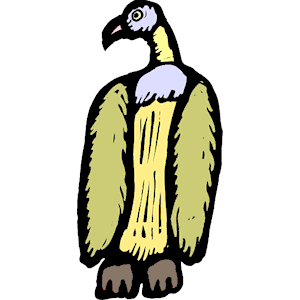 Vulture 07
