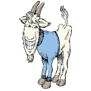 goat in a sweater