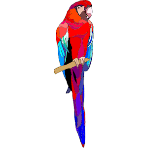 Macaw 4