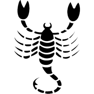 Scorpion 02