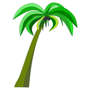 Palm or Coconut Tree