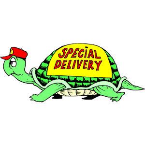Special Delivery Turtle