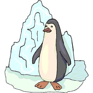 Penguin 18
