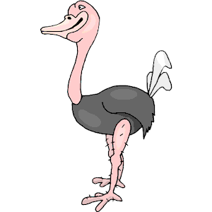 Ostrich Smiling