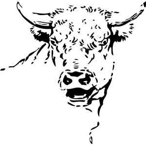 bull head