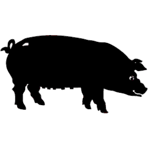 Pig 005