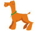 Orange Dog Profile