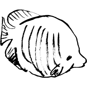 Fish 014