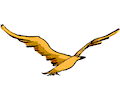 Bird Flying 15