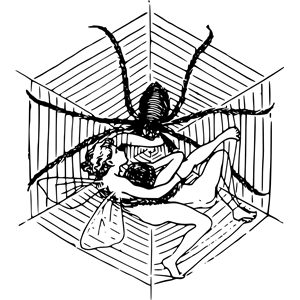 Fairies in a Spider Web