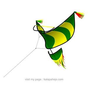 Traditional Kite