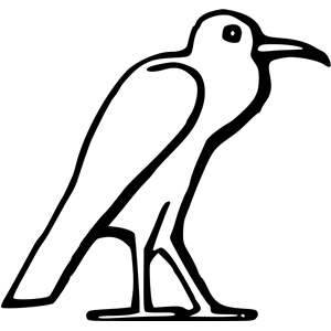 Egyptian bird