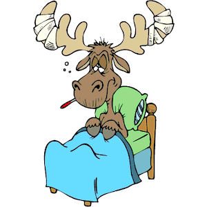 Moose Sick