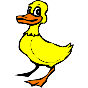 Duck 010