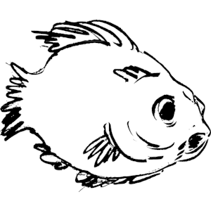 Fish 013