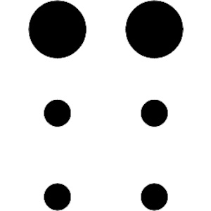 0 Braille 3