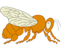 Bee 08