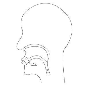 midsagittal W - voiced bilabial approximant