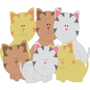 Kitten s