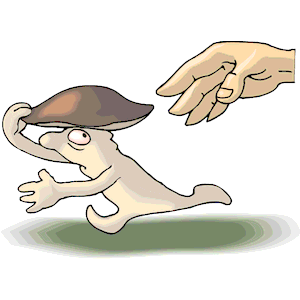 Mushroom Running