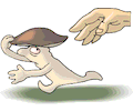 Mushroom Running