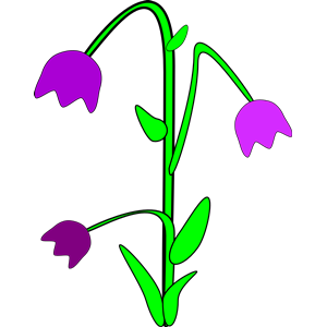 Bell-flower