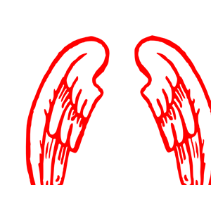 Red Warrior Wing