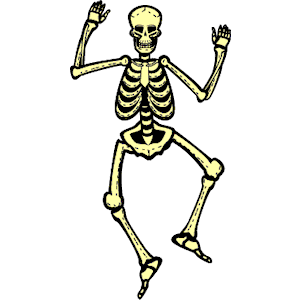 Skeleton 