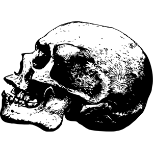 Skull 18