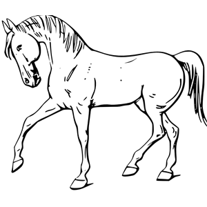 Walking horse outline