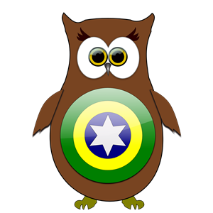 Brazil Owl Hero