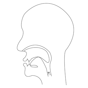 midsagittal NG - voiced velar nasal