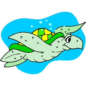 Turtle Swimming Like A Flying Bird