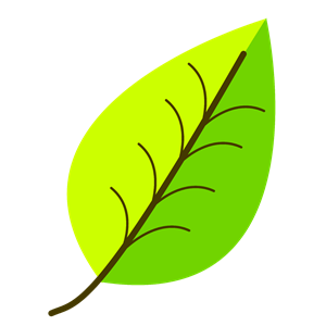 Leaf- with venation, two color