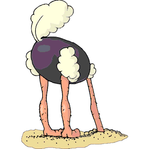 Ostrich Head Out of Sand