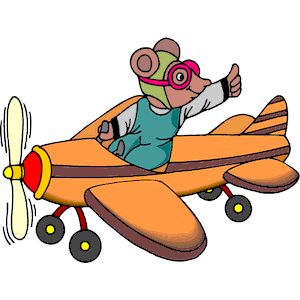 Mouse Pilot