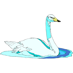 Swan 23