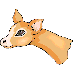 Deer 29