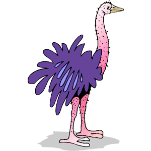Ostrich Stubbly