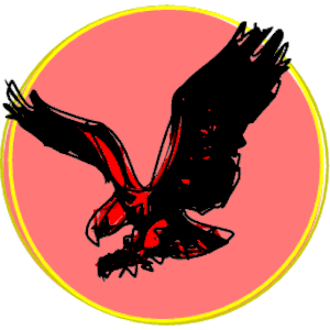 Eagle 16