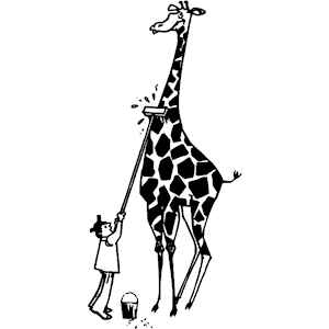 Cleaning Giraffe