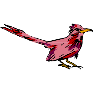 Bird 11