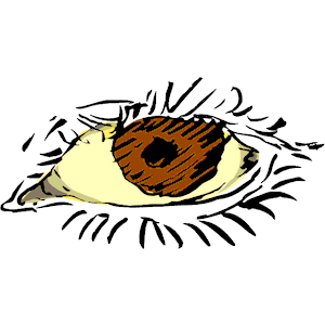Eye 08