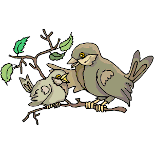 Bird & Chick