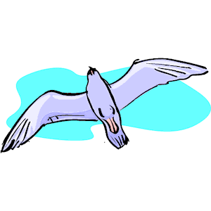 Seagull 11