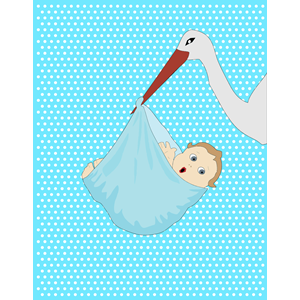 Baby Boy And Stork