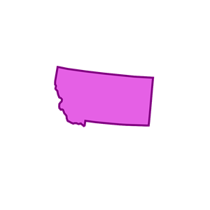 Montana Purple