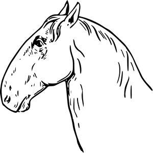 Ram-headed horsehead